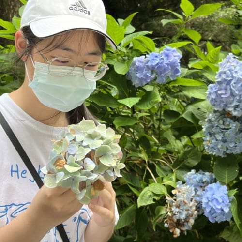 羿茹 陳